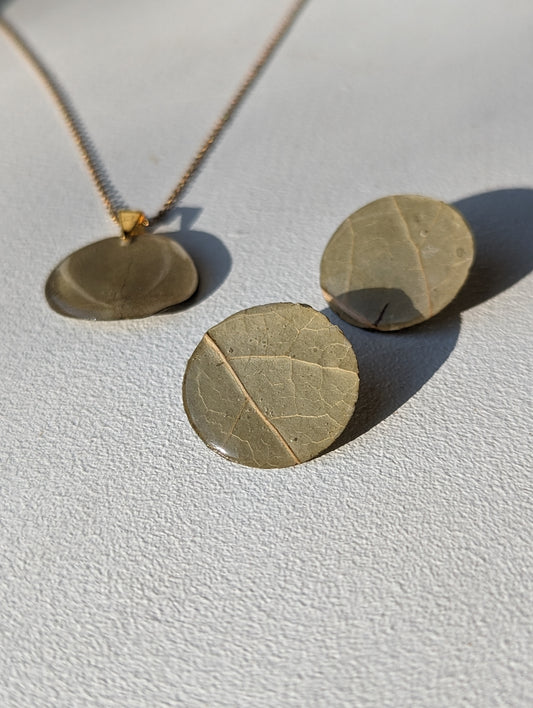 Eucalyptus Leaves Set