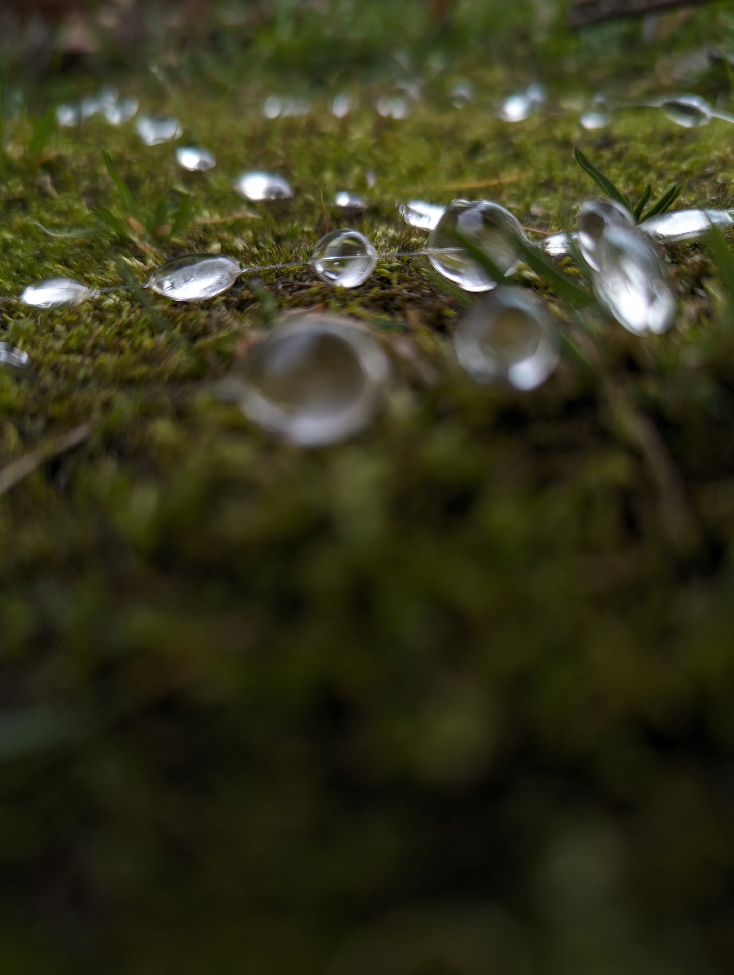 Raindrops Necklace Only