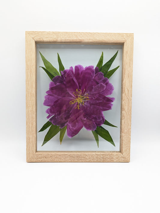 8x10 Flower Press