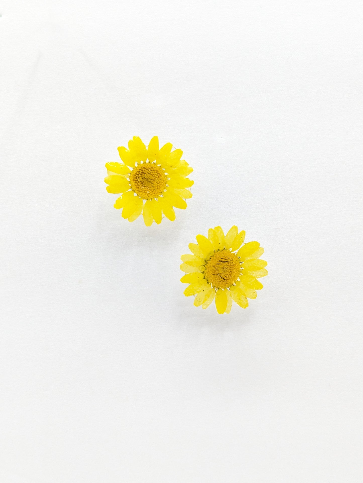 Yellow Daisies earrings