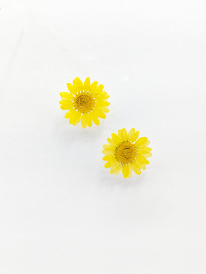 Yellow Daisies earrings