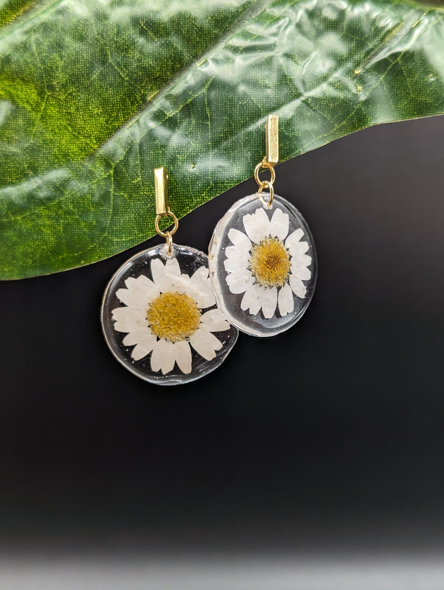 Daisies flowers earrings