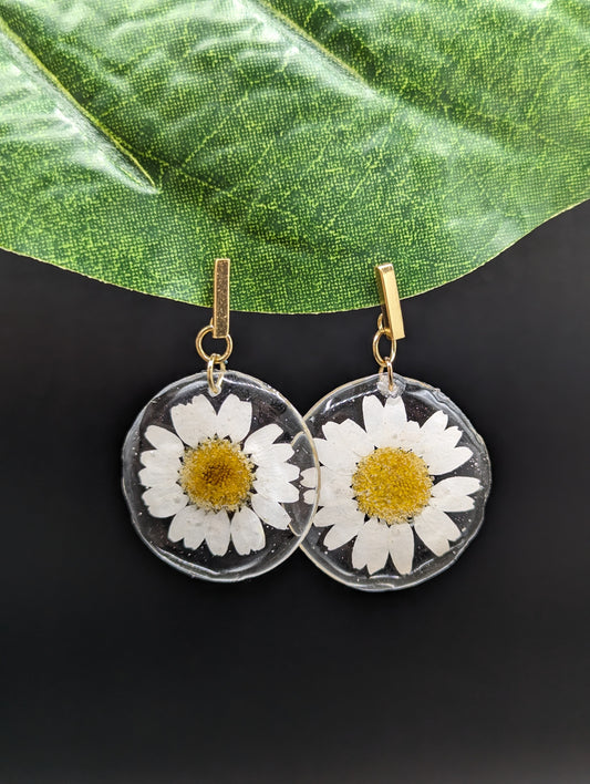 Daisies flowers earrings