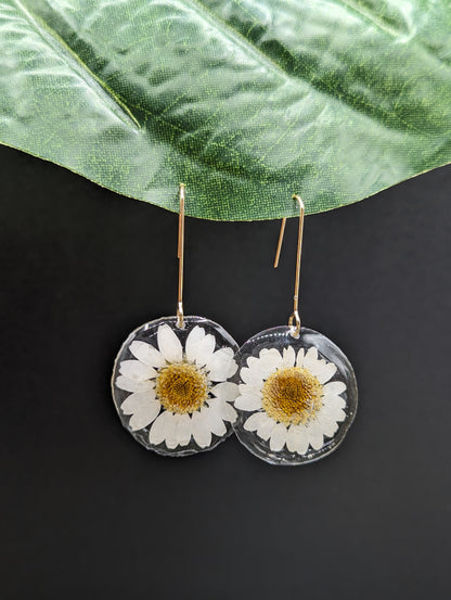 Daisies earrings