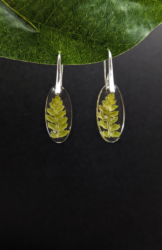 Fern earrings