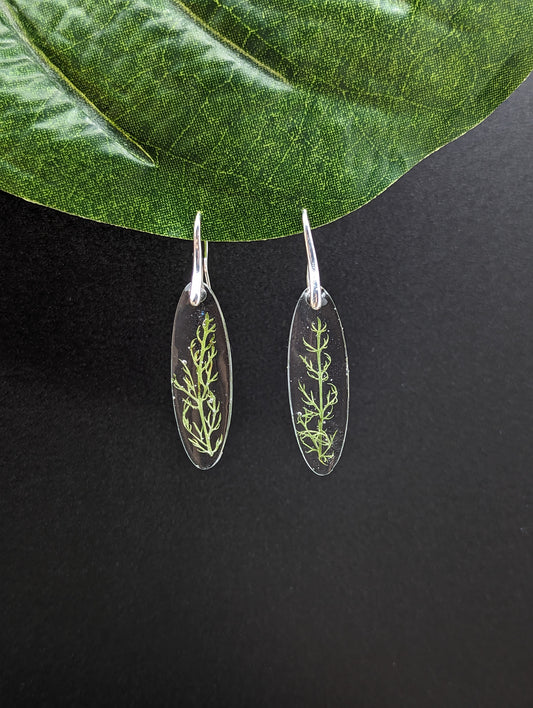 Yarrow leaves earrings