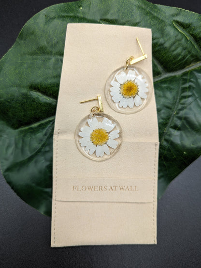 Daisies flowers earrings