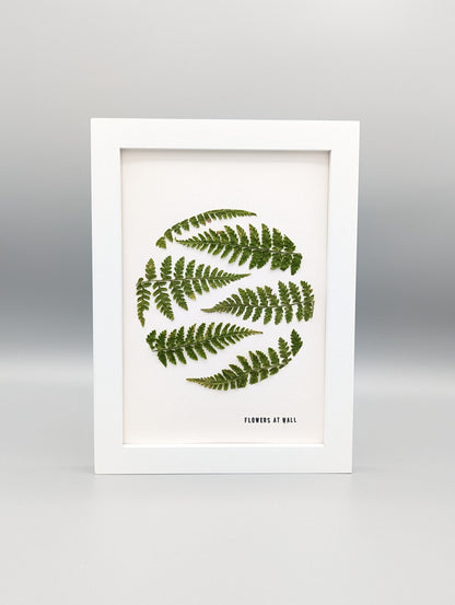 Fern of Maine